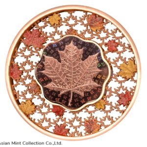 8b5cb077518042b98f3b04714ffd20a0