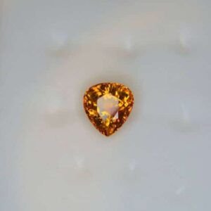 cropped photo 2025 10 07 10 02 00