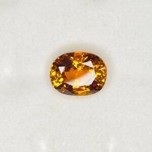 cropped photo 2025 10 08 11 05 45