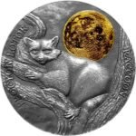 2021 - Raccoon Wildlife in the Moonlight Antique finish Silver Coin 2 Cedis Ghana - Image 2